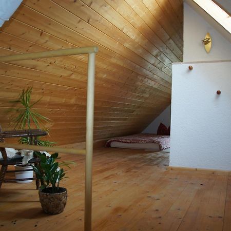 Schwalbennest Kaisitz Apartment Екстериор снимка