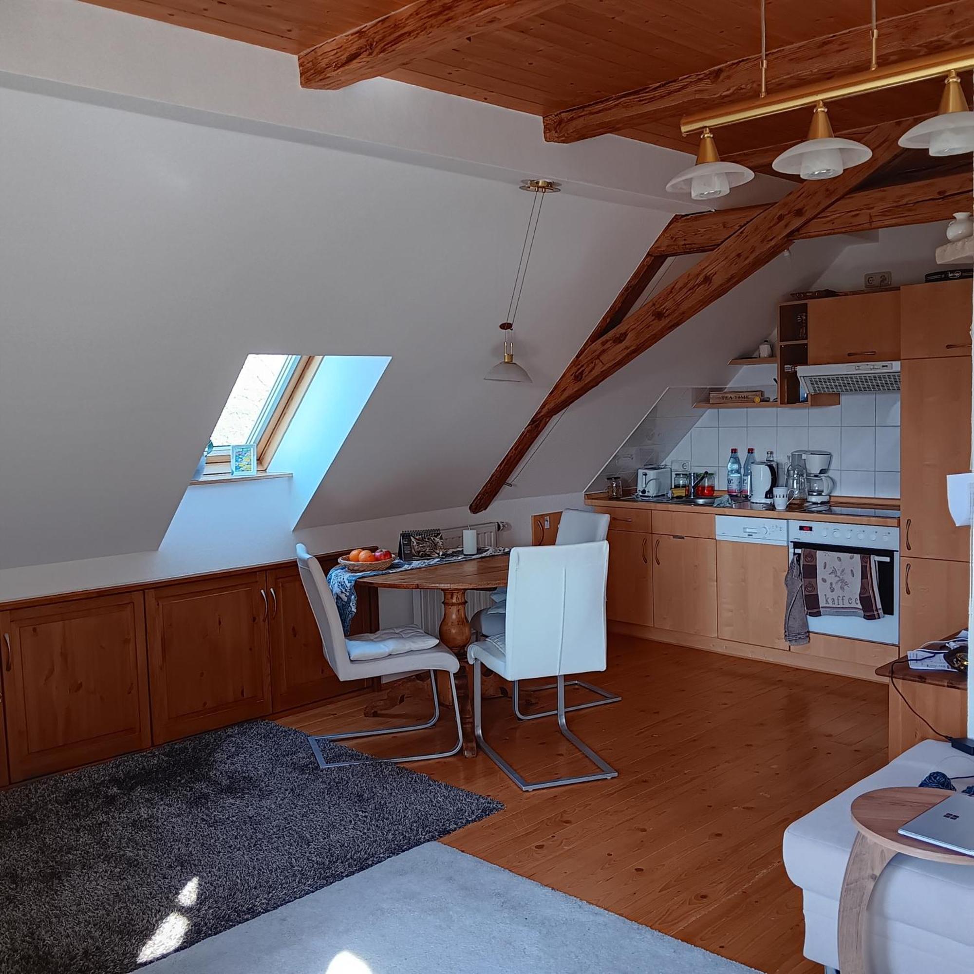 Schwalbennest Kaisitz Apartment Екстериор снимка