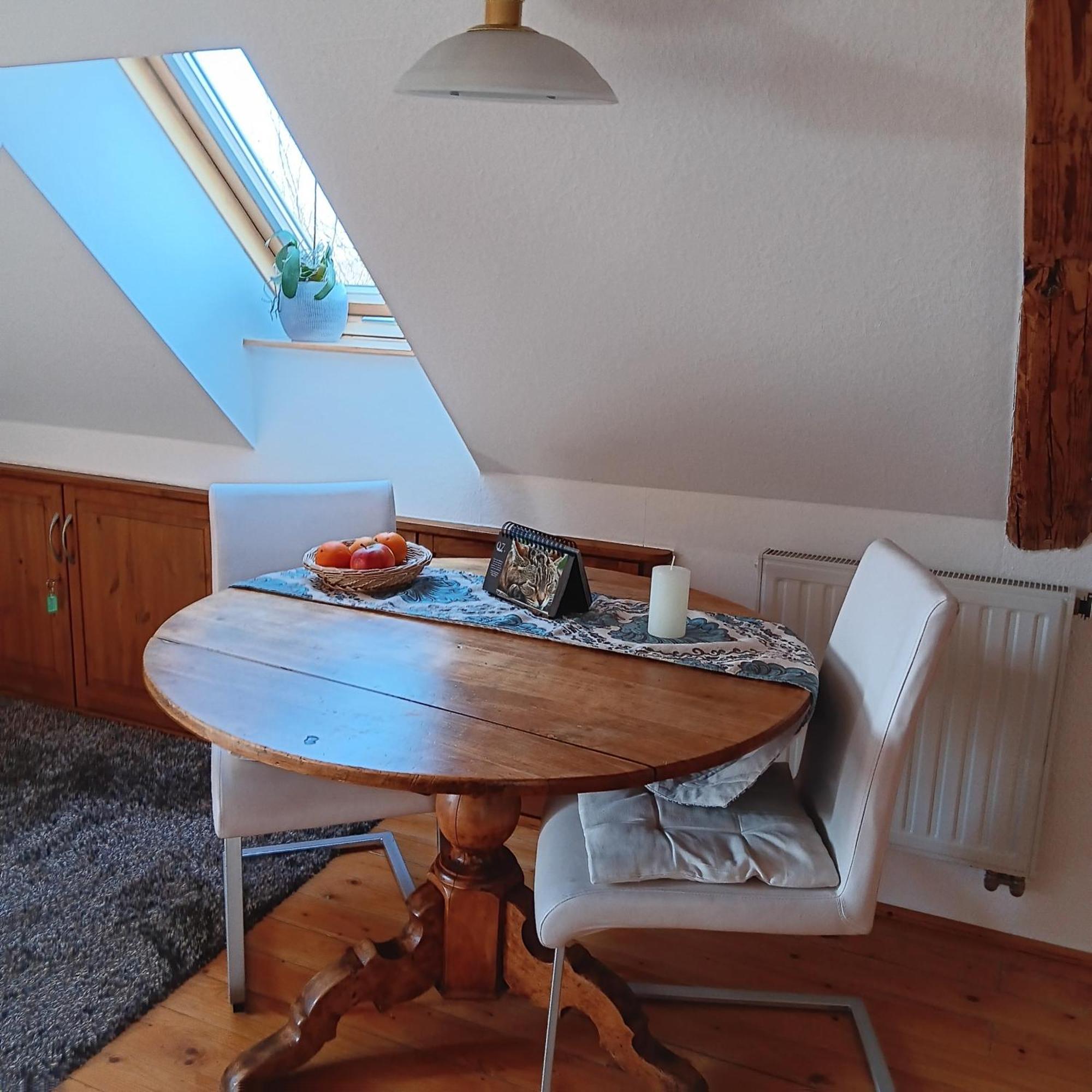 Schwalbennest Kaisitz Apartment Екстериор снимка